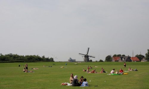 Leisure Landscapes Metropoolregio Amsterdam Landschapstriennale