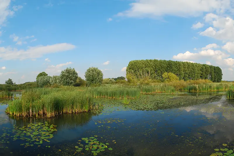 natuurgebied Panoven