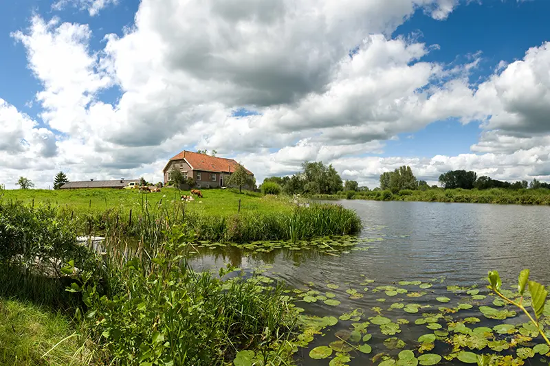 Boerderij op oeverwal langs Linge
