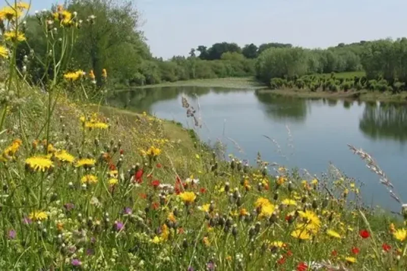 Wandeling uiterwaarden